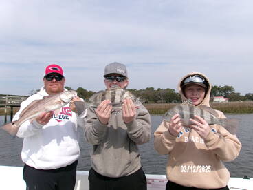 Water is warming up.  