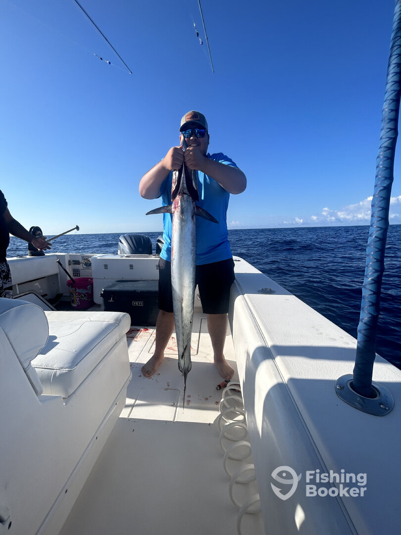 Rincon Report Photo 0