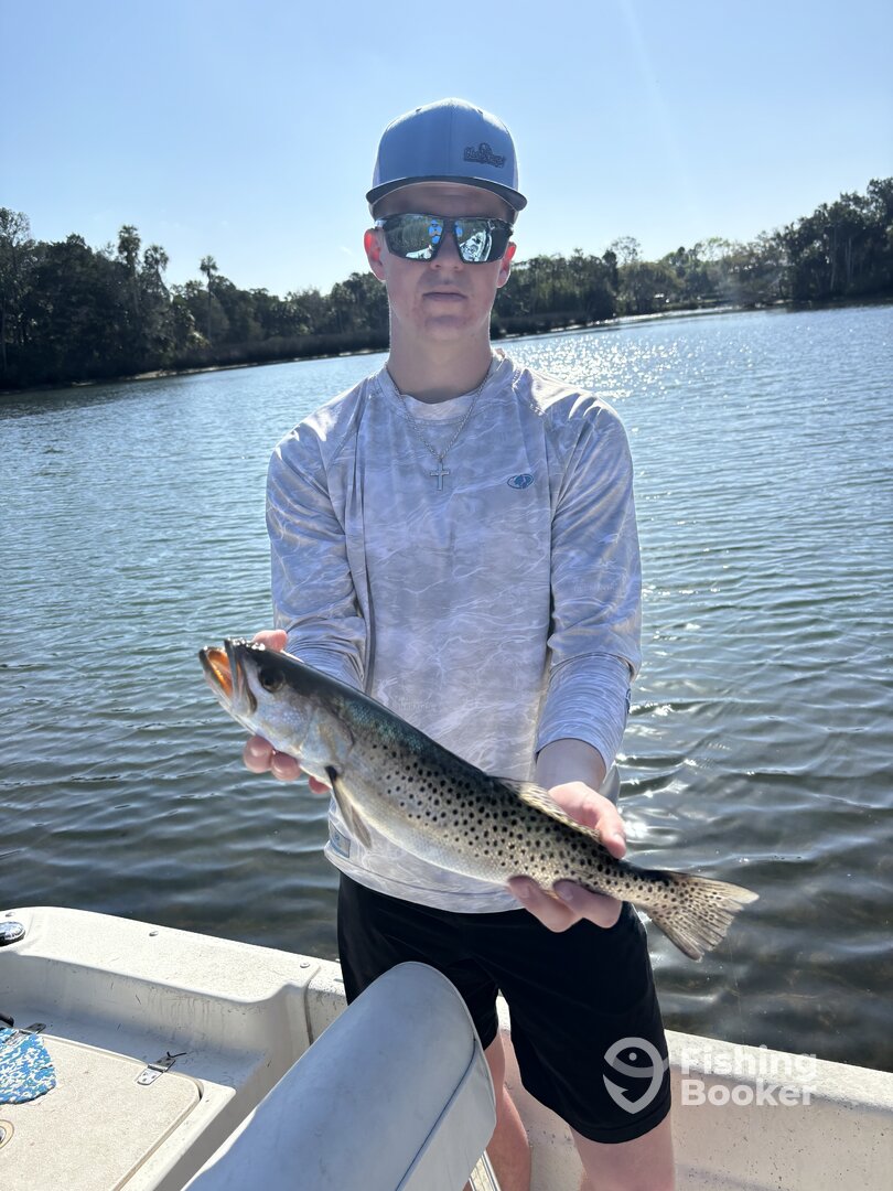 Spring Hill Report Photo 0