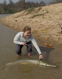 Good day fishing alligator gar
