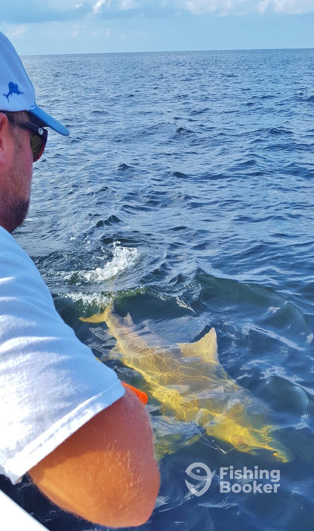 Orange Beach Report Photo 0