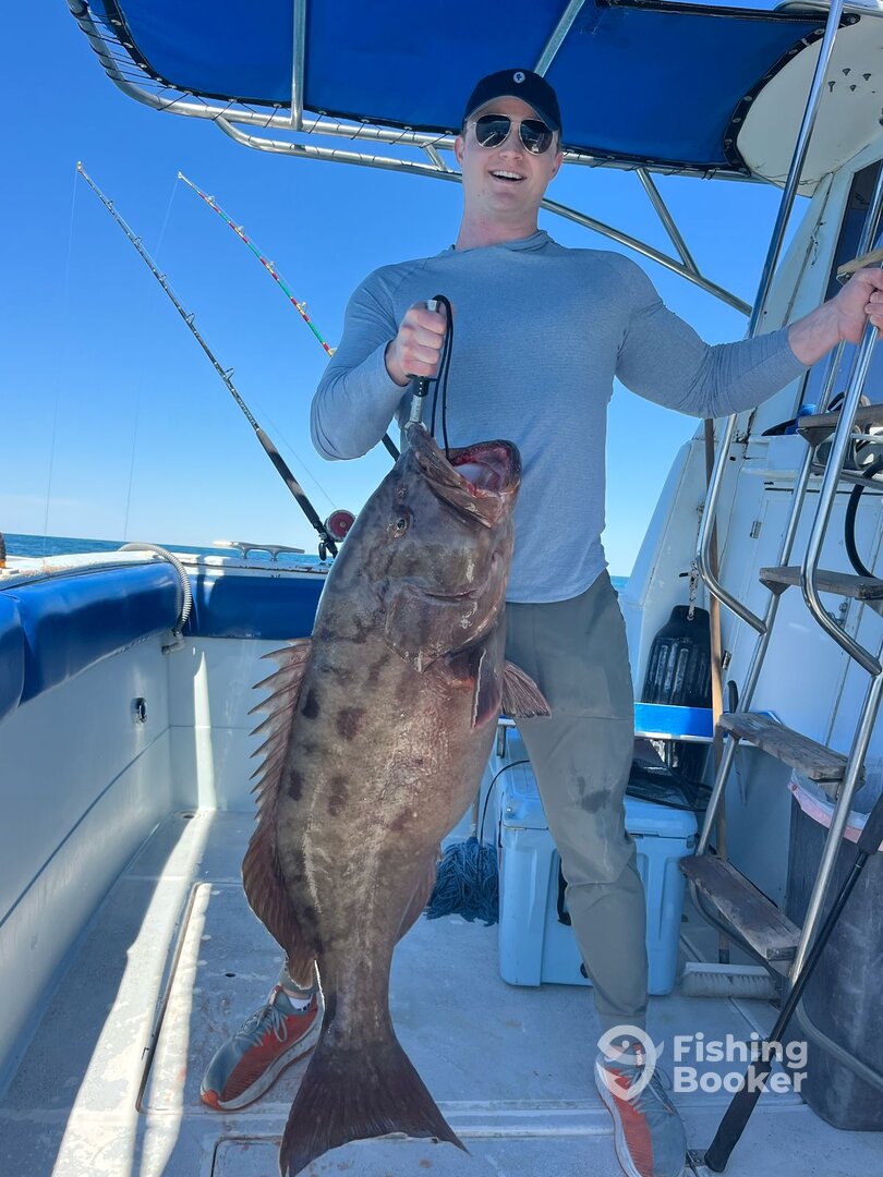 Puerto Peñasco Report Photo 0