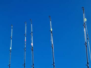 Hauraki Gulf Report Photo 2