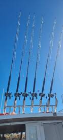 Hauraki Gulf Report Photo 1