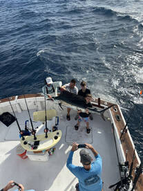 Miami Report Photo 1