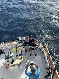 Miami Report Photo 2