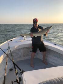 Bonita Springs Report Photo 2