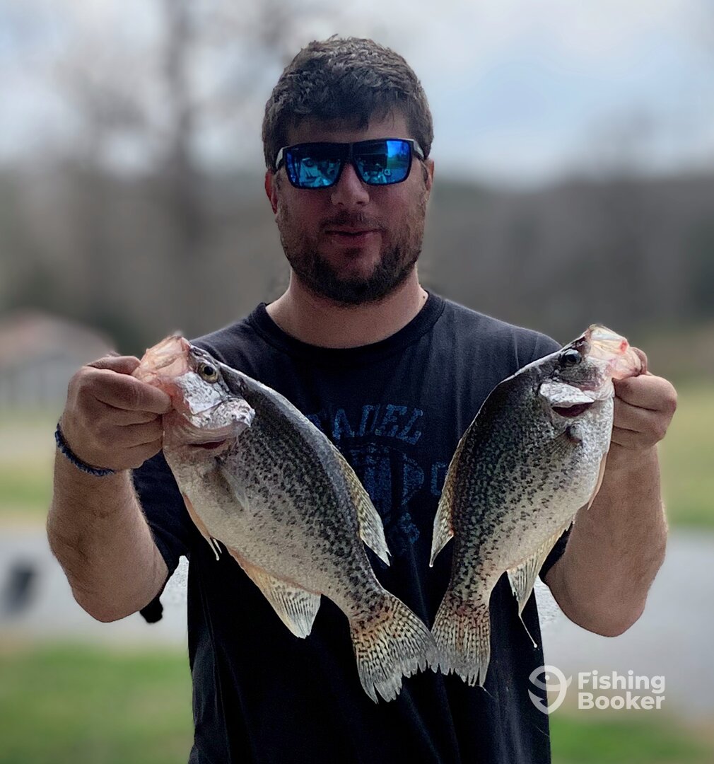 2.0+ and 1.5 lb Slab crappie