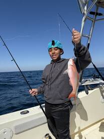 Destin Report Photo 2