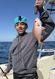 Destin Report Photo 1