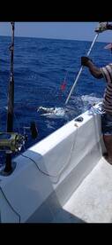 Diani Beach Report Photo 1