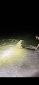 Anna Maria Report Photo 2