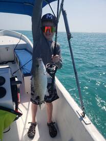 San Pedro Report Photo 2