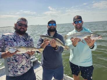 SEATROUT ON THE MENU!!!
