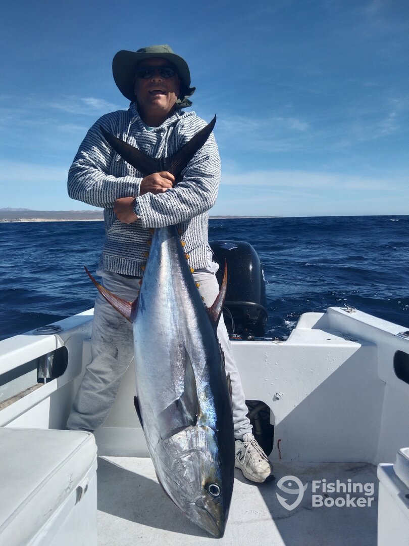 San Jose del Cabo Report Photo 0
