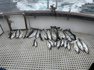 Winthrop Harbor Report Photo 2