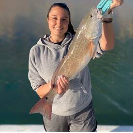 Redfish Bonanza