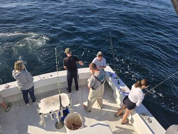 Orange Beach Report Photo 2