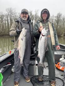 Spring chinook are starting to arrive in