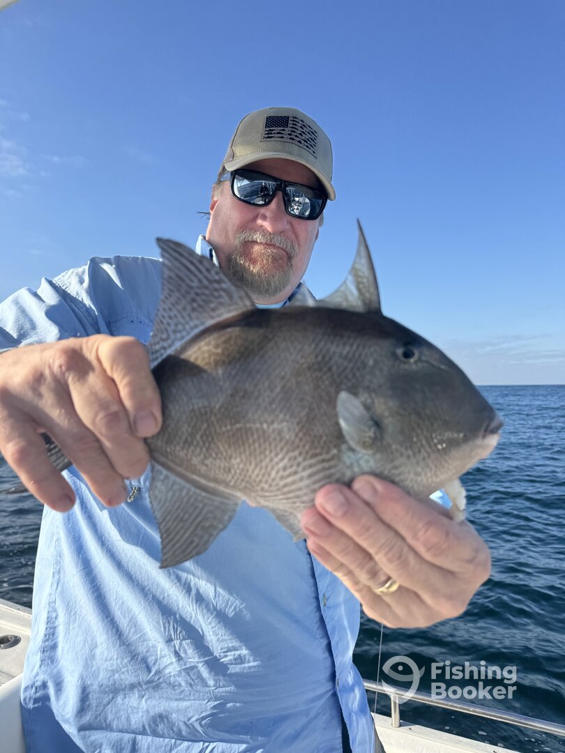 Destin Report Photo 0