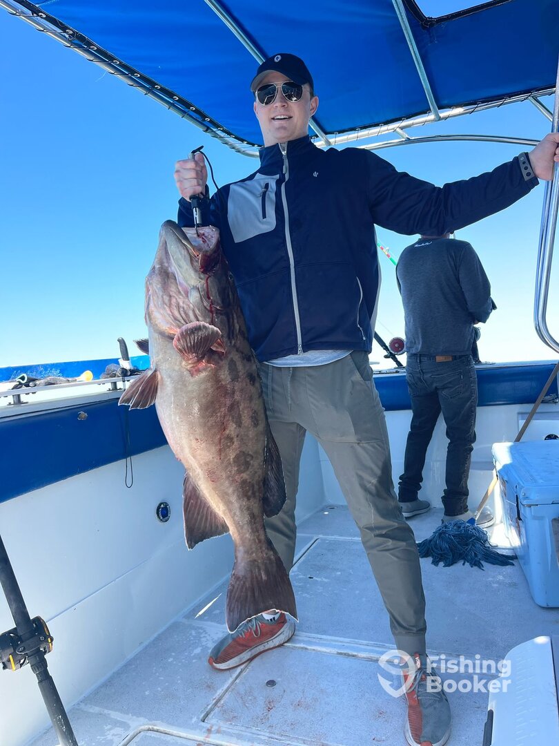 Puerto Peñasco Report Photo 0