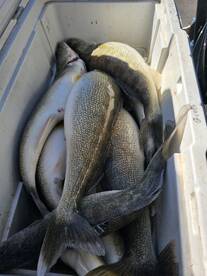 Lakeside Marblehead Report Photo 2