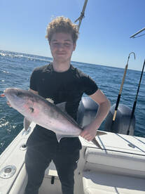 Panama City Report Photo 2