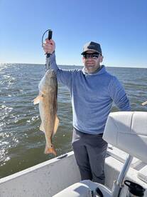 Gulfport Report Photo 2