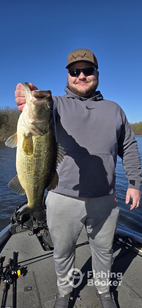 5.33lbs
