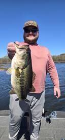 5lbs