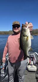 4.7lbs