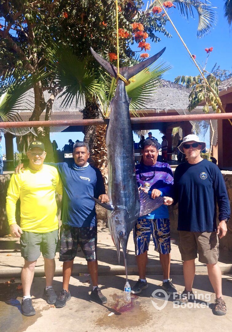 San Jose del Cabo Report Photo 0