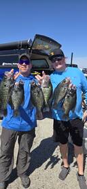 Quitman Report Photo 1
