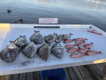 Gulf Shores Report Photo 2