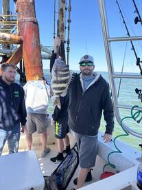 Gulf Shores Report Photo 1