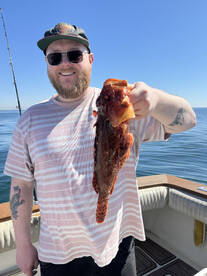 Los Angeles Report Photo 2