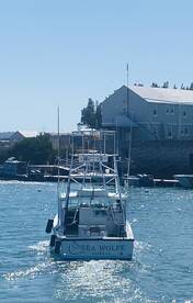 Sandys Report Photo 1