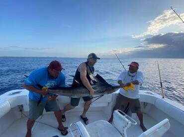 Puerto Aventuras Report Photo 1