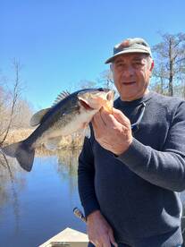 Murrells Inlet Report Photo 1