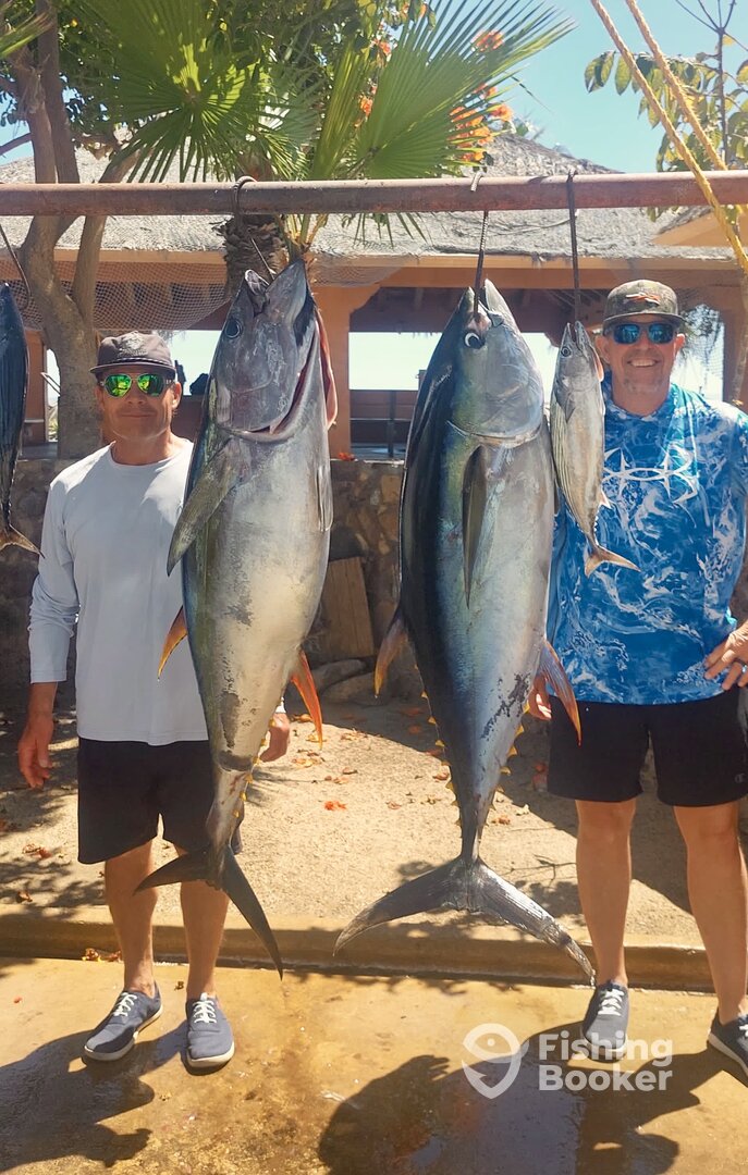 San Jose del Cabo Report Photo 0