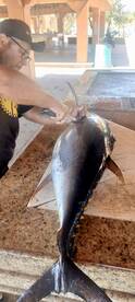 San Jose del Cabo Report Photo 1