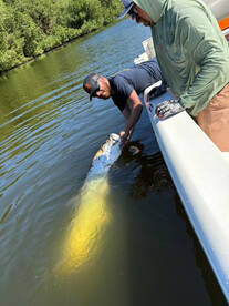 Carolina Report Photo 1