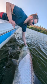 Tarpon Season at its Peak!