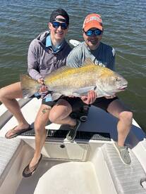 Big black drum! 