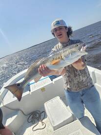 Lots of fish and wildlife 