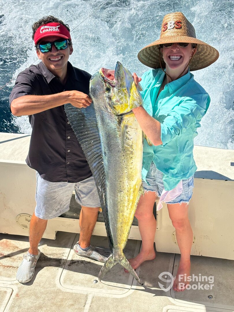 Puerto Vallarta Report Photo 0