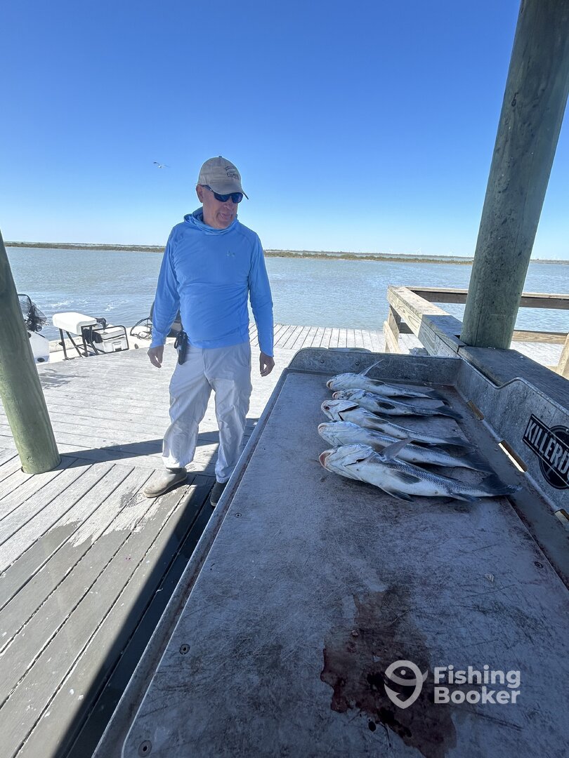 Port Aransas Report Photo 0