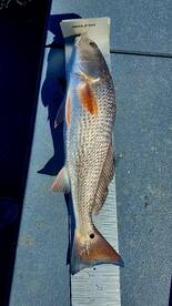 Crystal River Report Photo 1