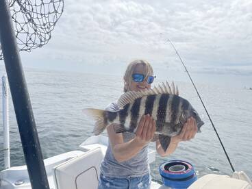 Sheepshead fishing is red hot 