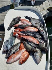 Seabrook Island Report Photo 2